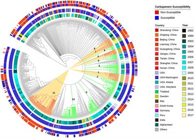 Global genomic epidemiology of chromosomally mediated non-enzymatic carbapenem resistance in Acinetobacter baumannii: on the way to predict and modify resistance